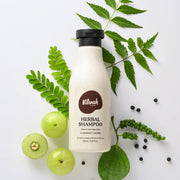 Herbal Shampoo (Dandruff Control) - Vilvah
