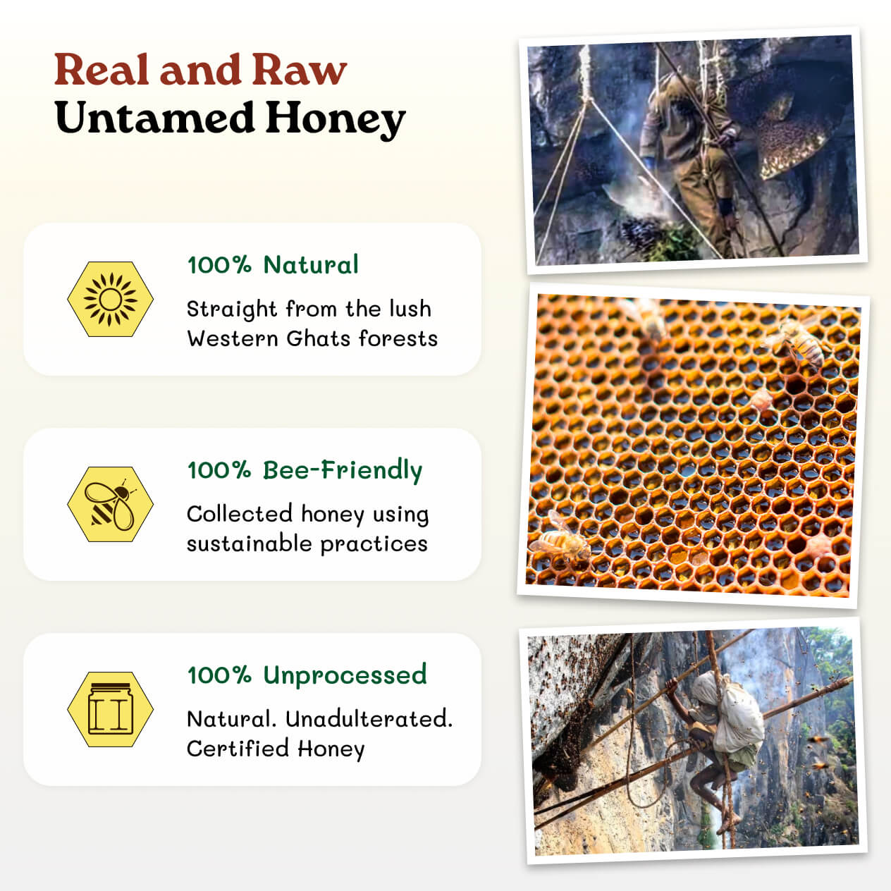 Kombu Wild Honey - Oorla