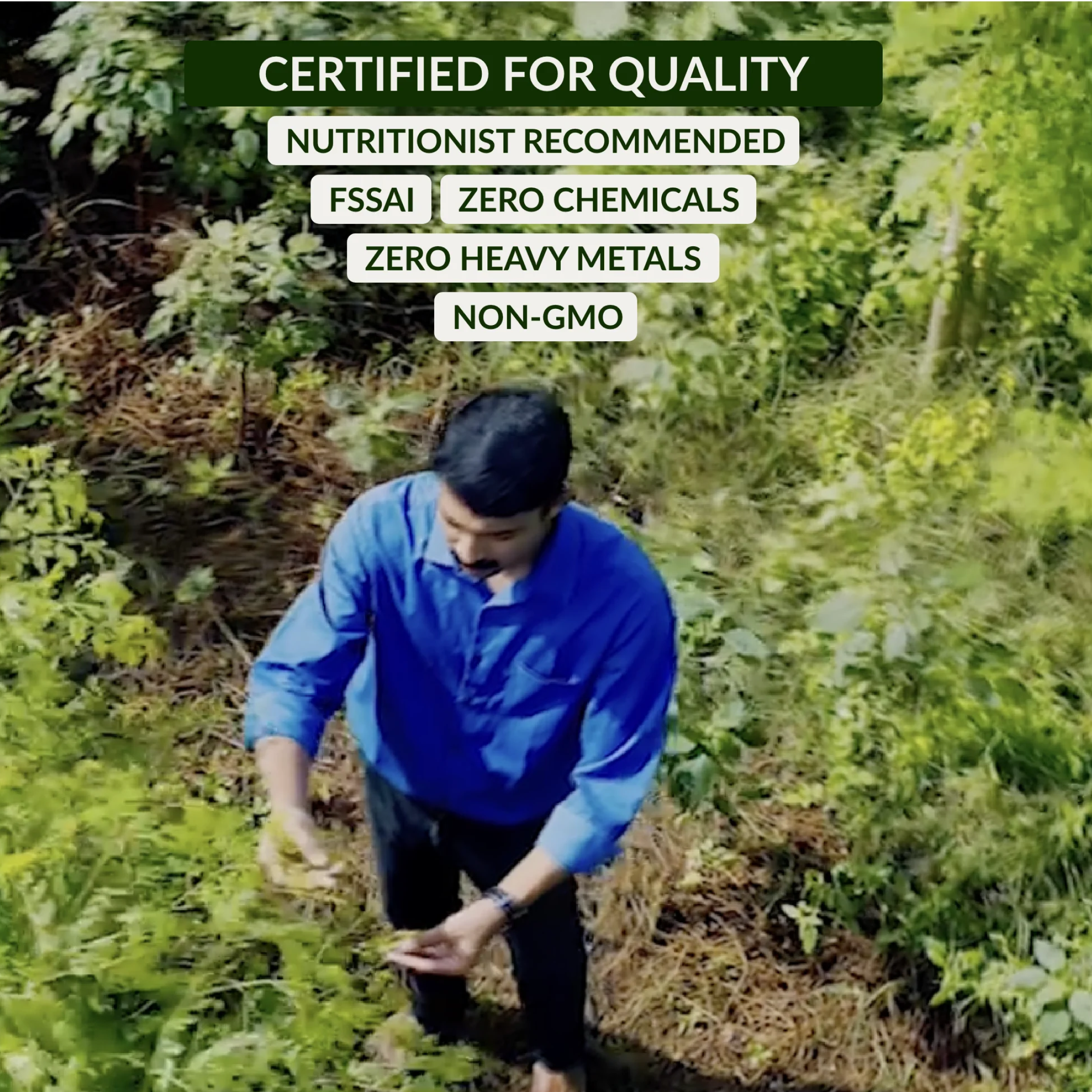 Dip Soup - Guava Leaf Wellness Sachet - Keerai Kadai