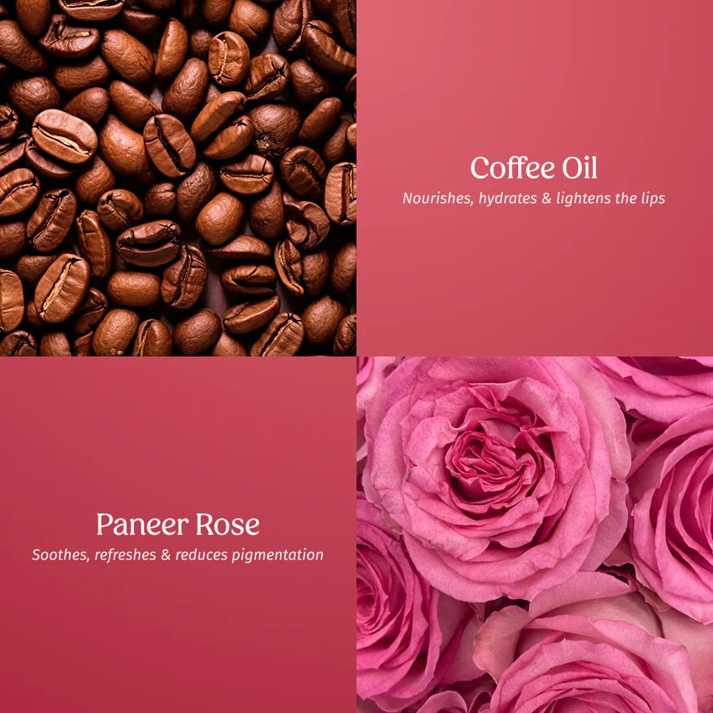 Tinted Lip Balm Kit - Vilvah