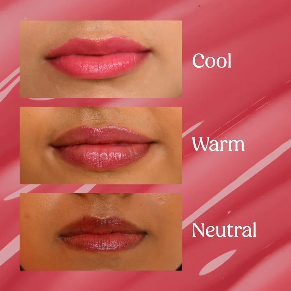 Tinted Lip Balm Kit - Vilvah