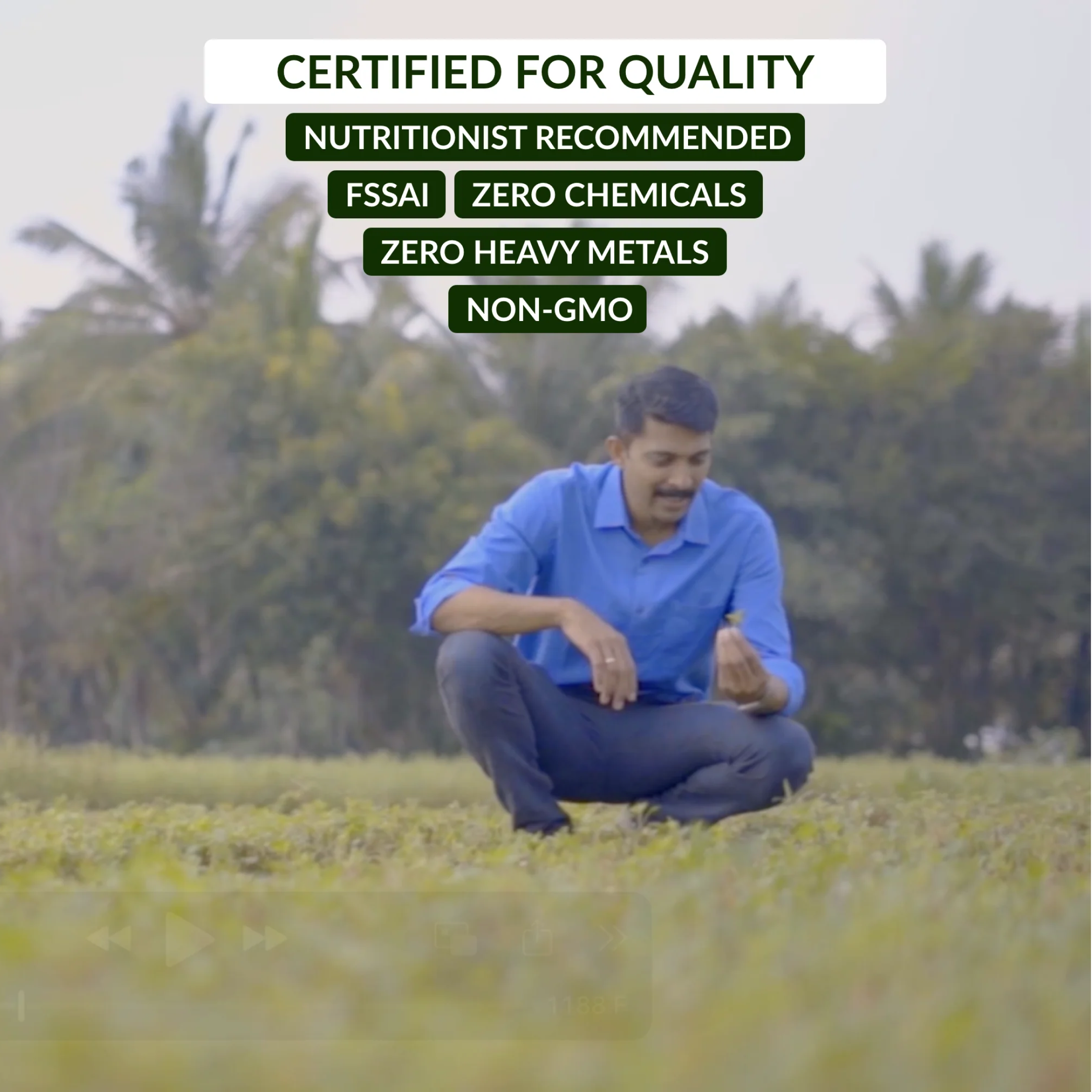 Dip Soup - Moringa Wellness Sachet - Keerai Kadai