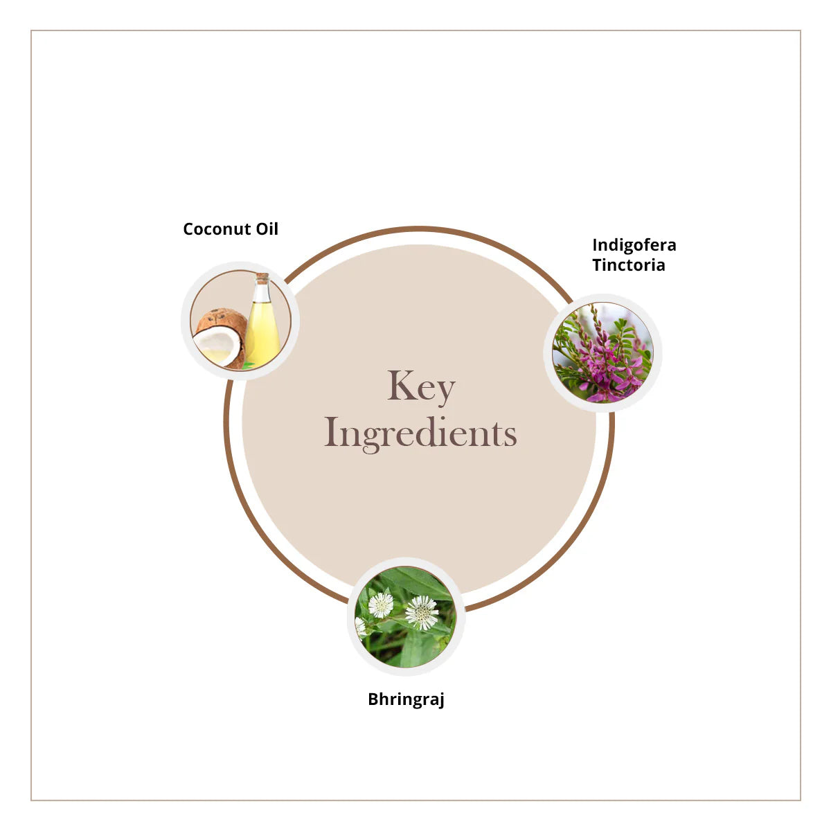 Neelibhringadi Tailam | Ayurvedic Hair Oil (200ml) - YadaSutra