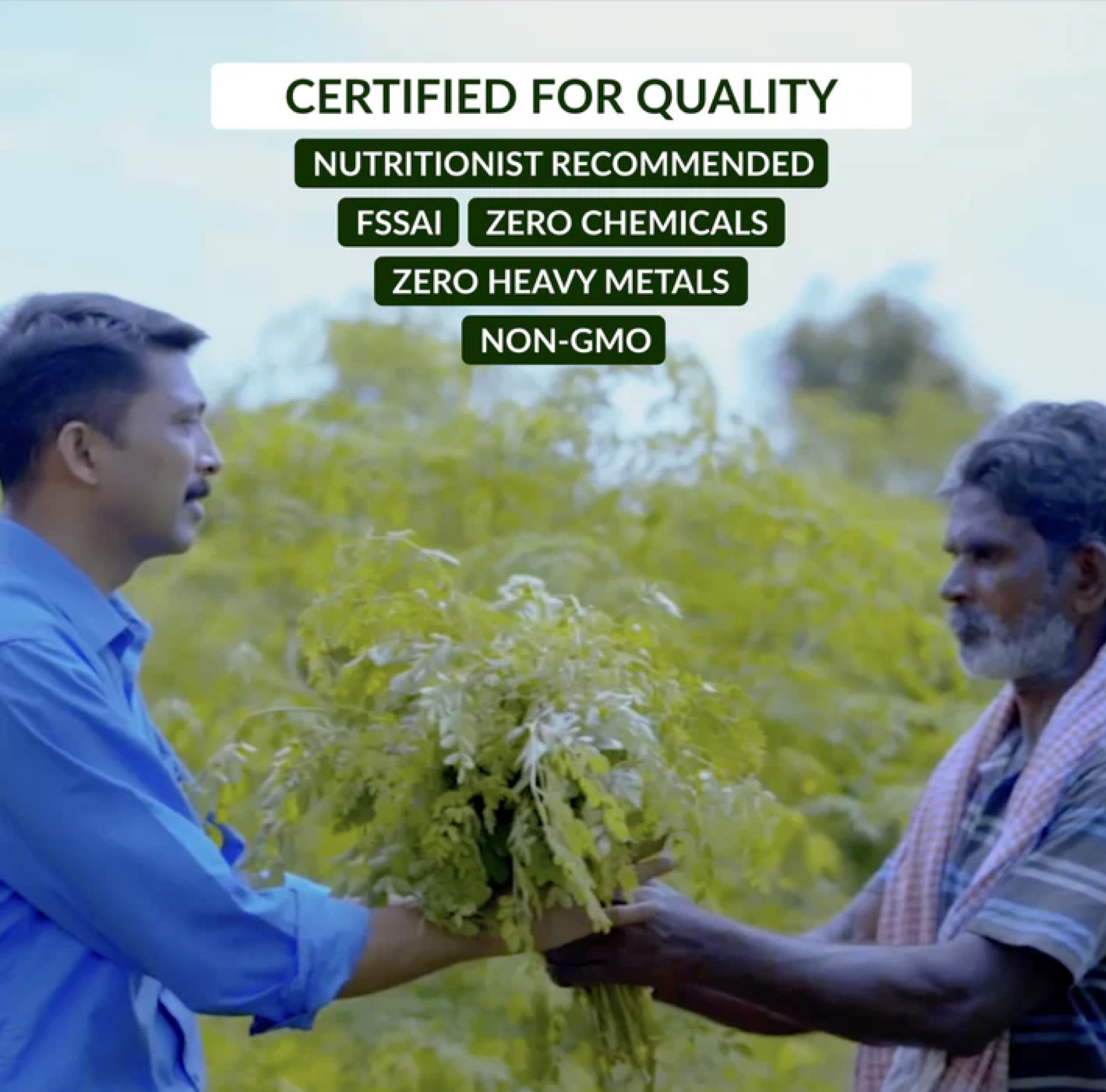 Dip Soup - Purple Nightshade Wellness Sachet - Keerai Kadai