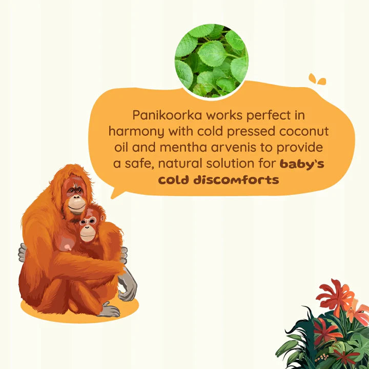 Comforting Baby Roll-On Root and Soil