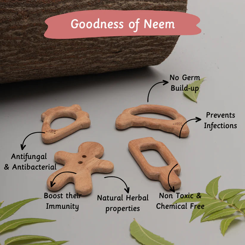 Wooden Teethers - Treats - Ariro Toys