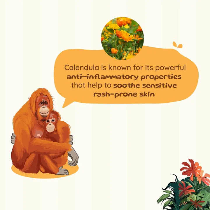 Napkin Rash Coconut Balm For Moms Root and Soil