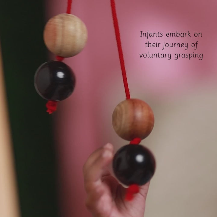 Load video: Maraca and Clapper - Ariro Toys