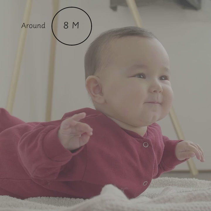 Load video: The Ultimate Permanence box set - Ariro toys